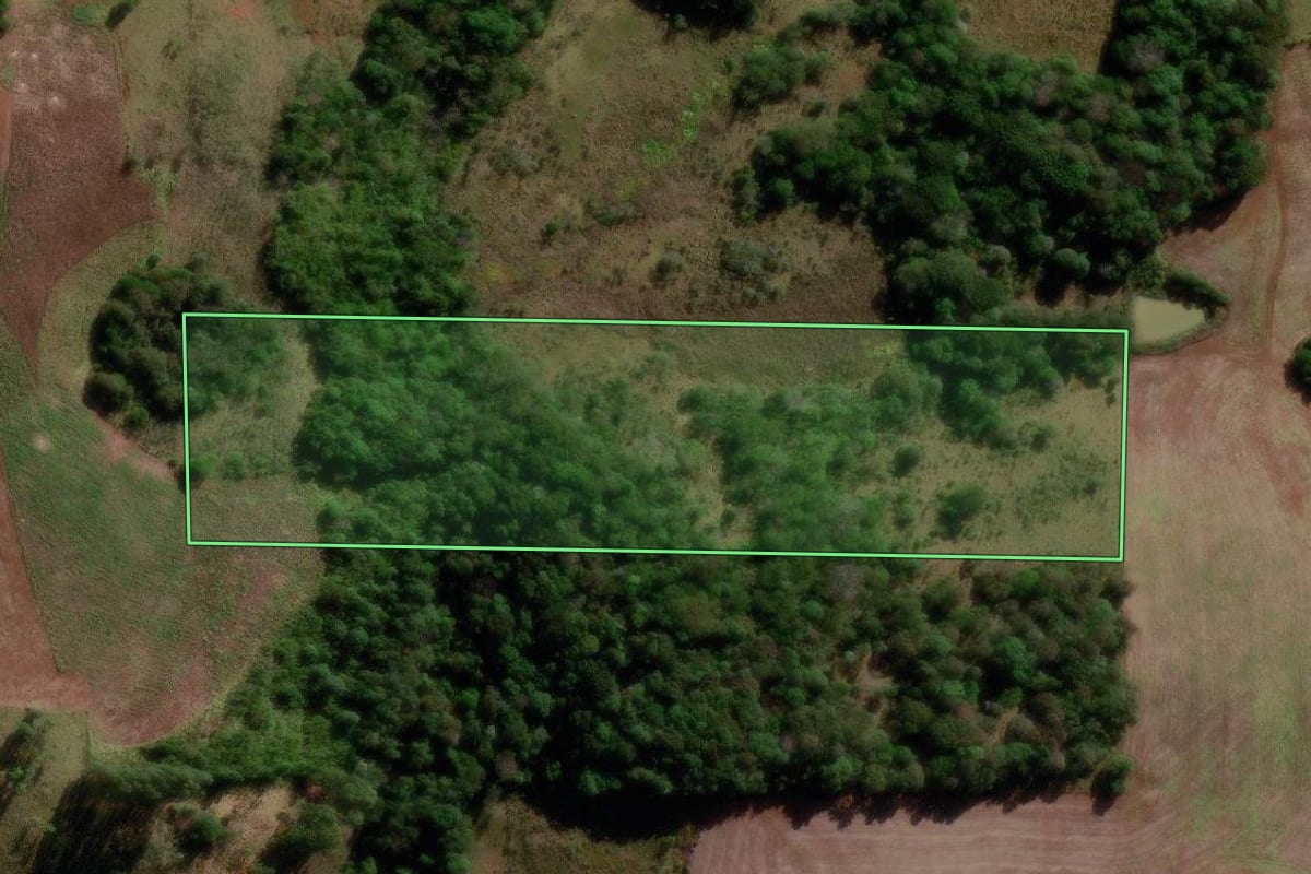 Imagem de satélite do imóvel rural em Palmital (PR), com o contorno declarado no CAR desenhado por cima.