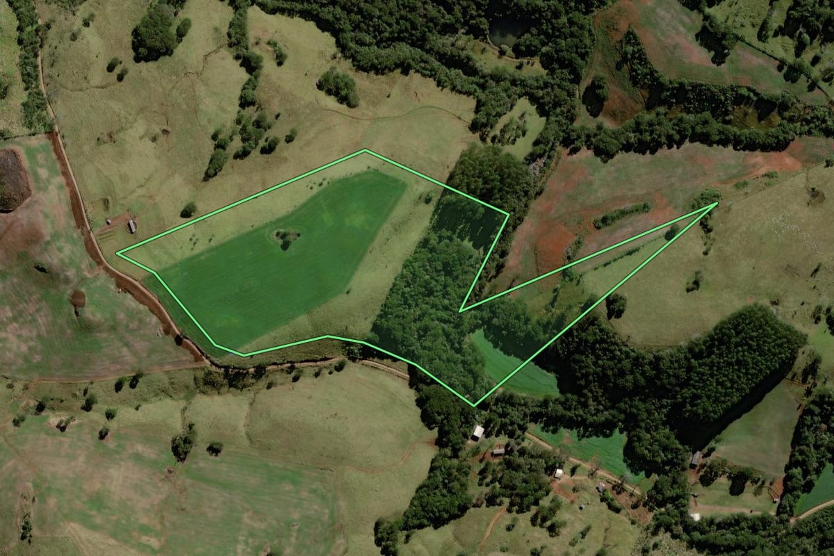 Imagem de satélite do imóvel rural em Palmital (PR), com o contorno declarado no CAR desenhado por cima.