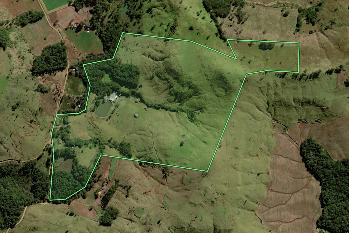 Imagem de satélite do imóvel rural em Palmital (PR), com o contorno declarado no CAR desenhado por cima.
