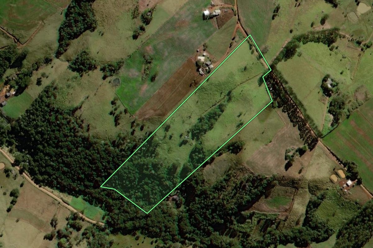 Imagem de satélite do imóvel rural em Palmital (PR), com o contorno declarado no CAR desenhado por cima.