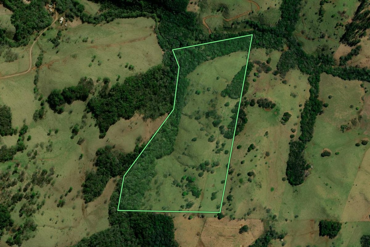Imagem de satélite do imóvel rural em Palmital (PR), com o contorno declarado no CAR desenhado por cima.