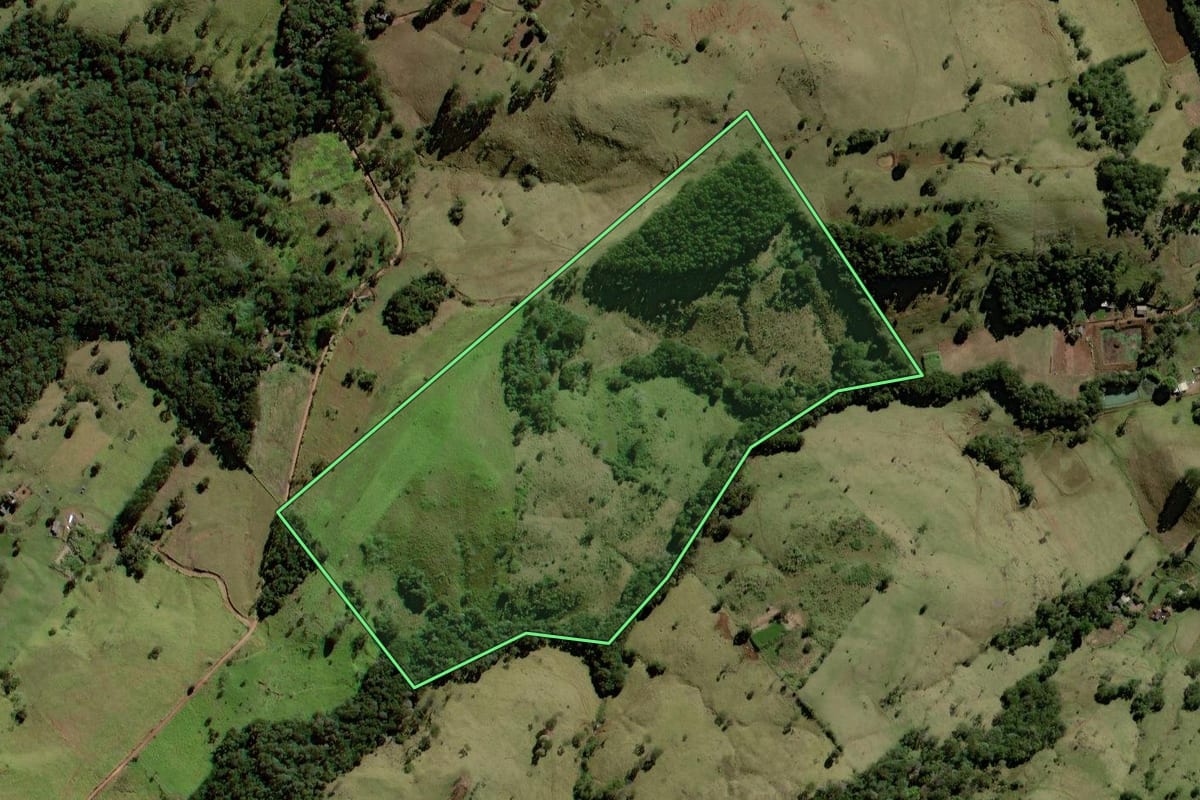 Imagem de satélite do imóvel rural em Palmital (PR), com o contorno declarado no CAR desenhado por cima.