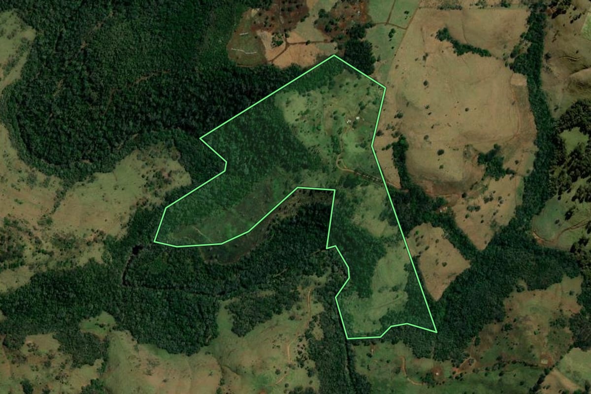 Imagem de satélite do imóvel rural em Palmital (PR), com o contorno declarado no CAR desenhado por cima.
