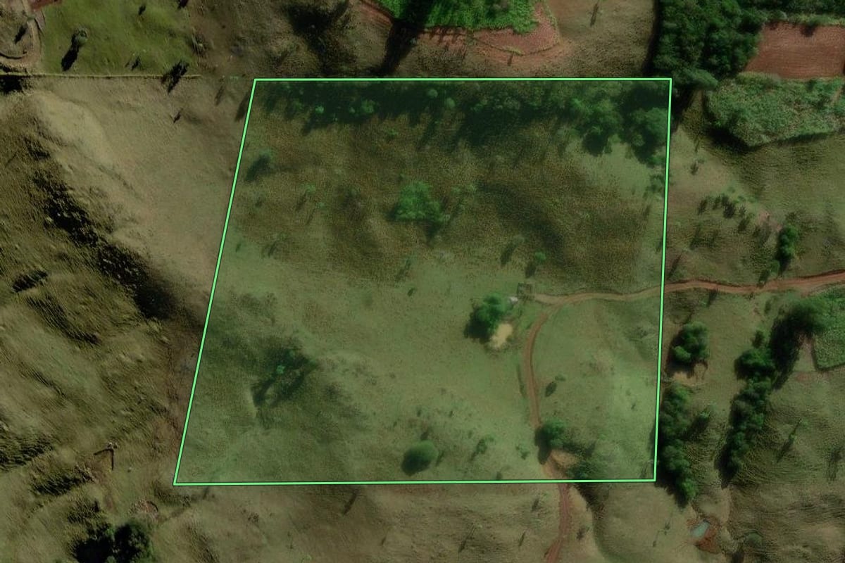 Imagem de satélite do imóvel rural em Palmital (PR), com o contorno declarado no CAR desenhado por cima.