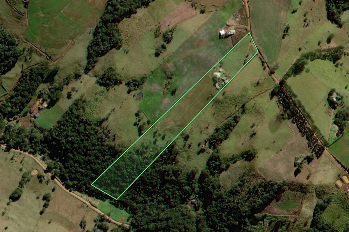 Imagem de satélite do imóvel rural em Palmital (PR), com o contorno declarado no CAR desenhado por cima.