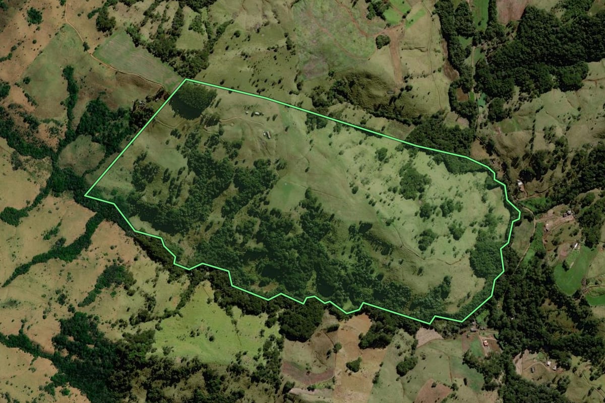 Imagem de satélite do imóvel rural em Palmital (PR), com o contorno declarado no CAR desenhado por cima.