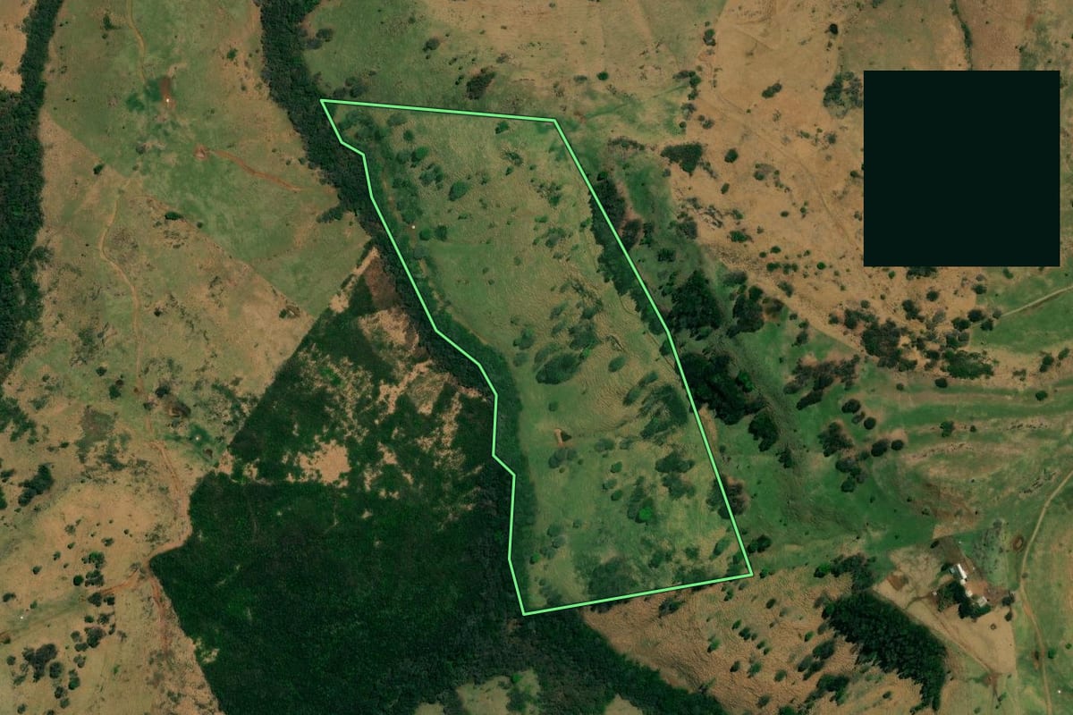 Imagem de satélite do imóvel rural em Palmital (PR), com o contorno declarado no CAR desenhado por cima.