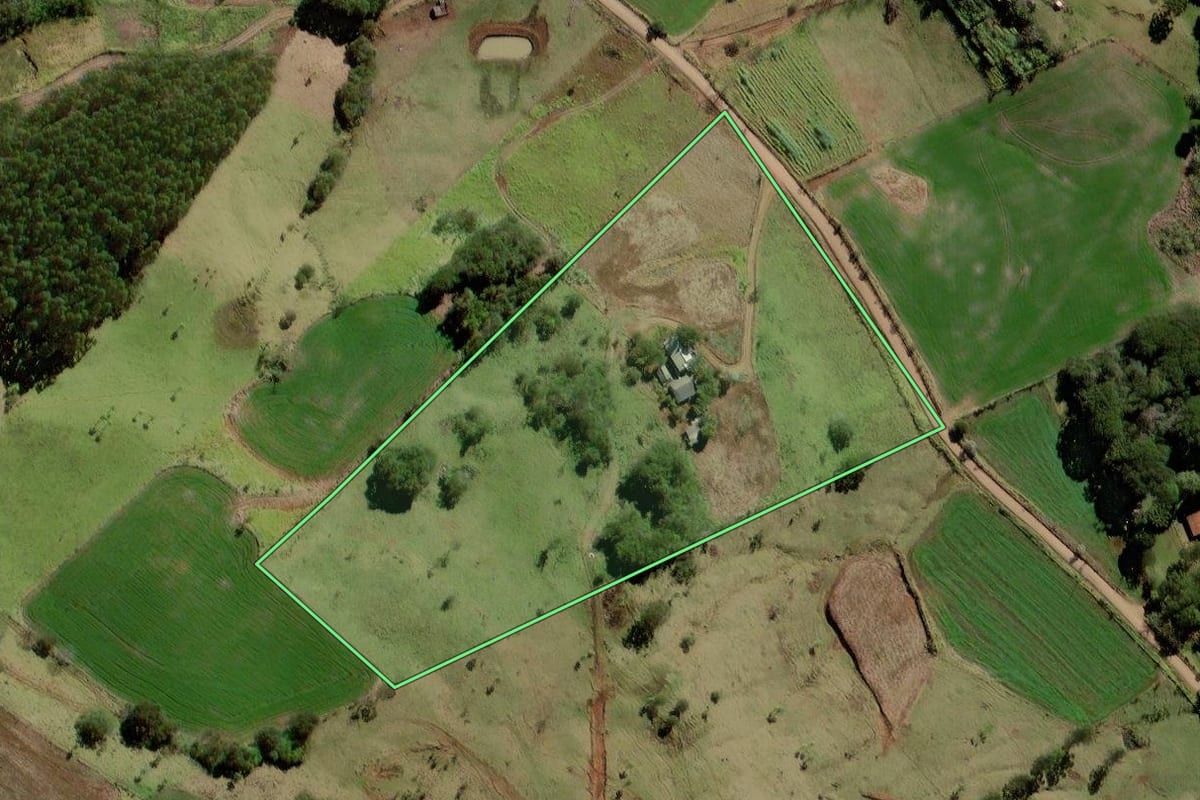 Imagem de satélite do imóvel rural em Palmital (PR), com o contorno declarado no CAR desenhado por cima.