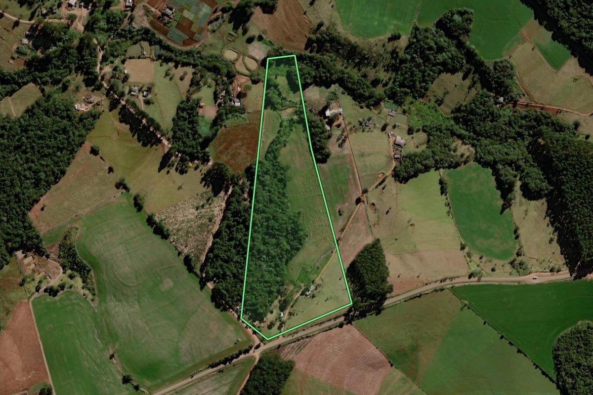 Imagem de satélite do imóvel rural em Palmital (PR), com o contorno declarado no CAR desenhado por cima.