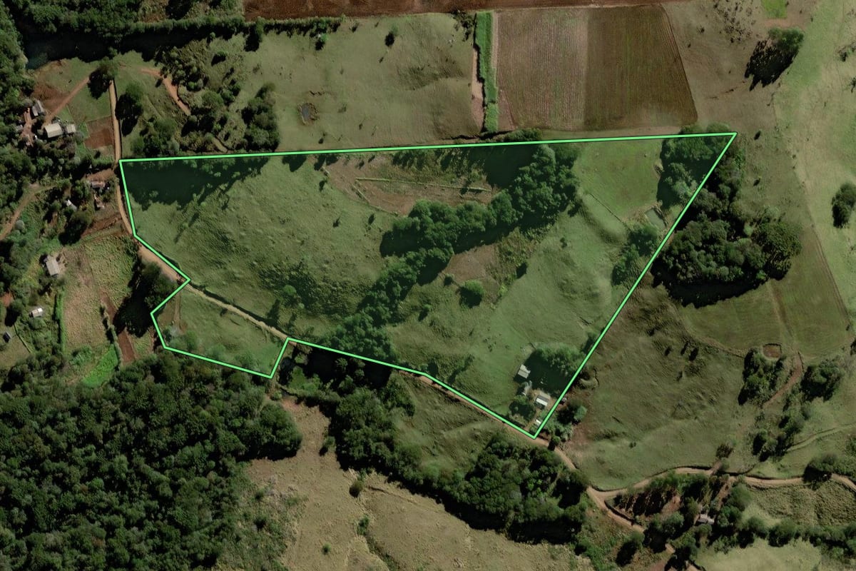 Imagem de satélite do imóvel rural em Palmital (PR), com o contorno declarado no CAR desenhado por cima.
