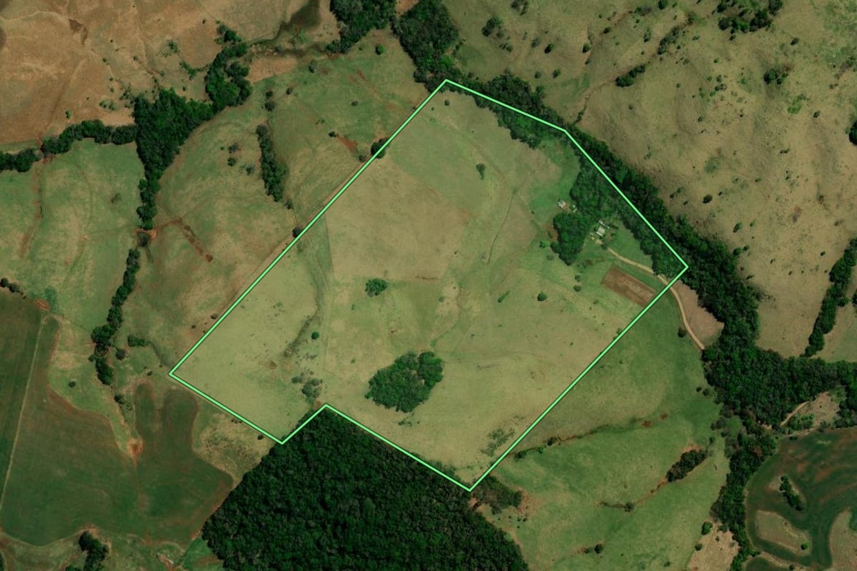 Imagem de satélite do imóvel rural em Palmital (PR), com o contorno declarado no CAR desenhado por cima.
