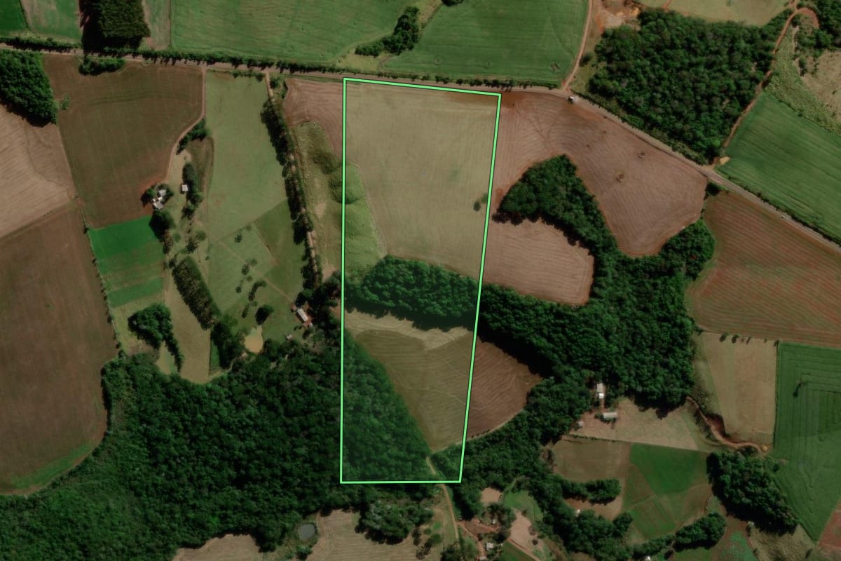 Imagem de satélite do imóvel rural em Palmital (PR), com o contorno declarado no CAR desenhado por cima.