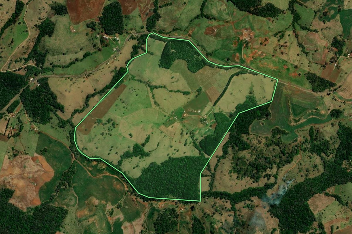 Imagem de satélite do imóvel rural em Palmital (PR), com o contorno declarado no CAR desenhado por cima.