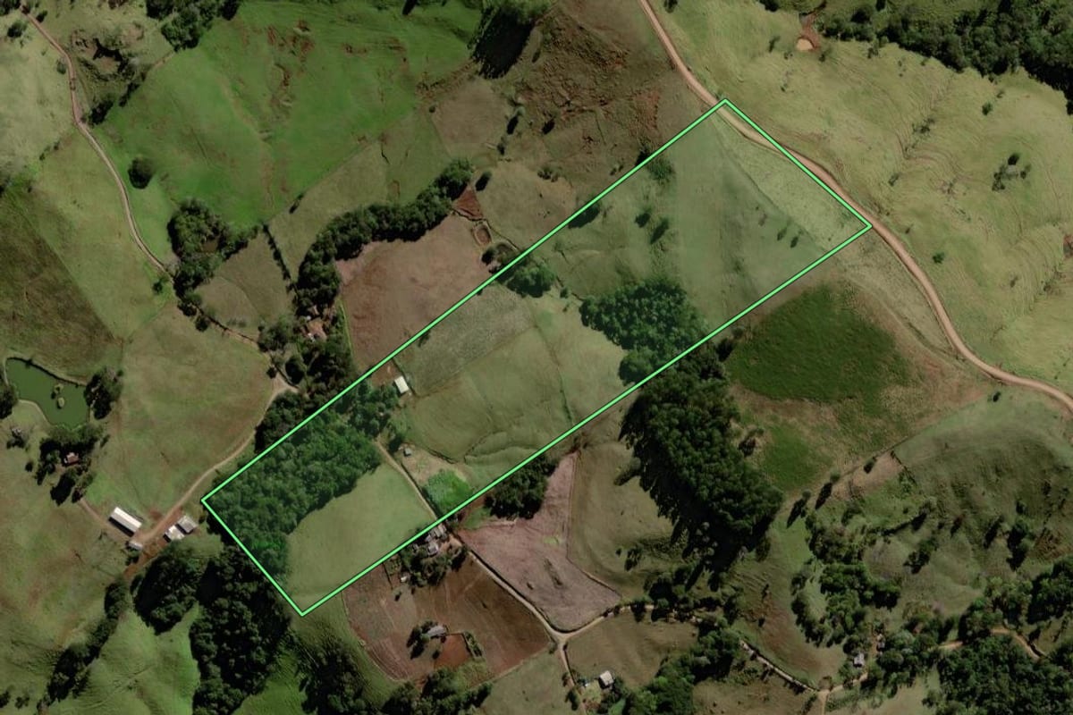 Imagem de satélite do imóvel rural em Palmital (PR), com o contorno declarado no CAR desenhado por cima.