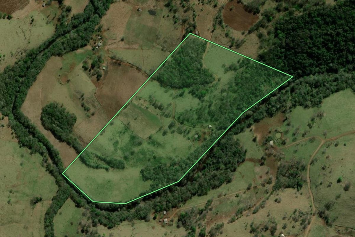 Imagem de satélite do imóvel rural em Palmital (PR), com o contorno declarado no CAR desenhado por cima.