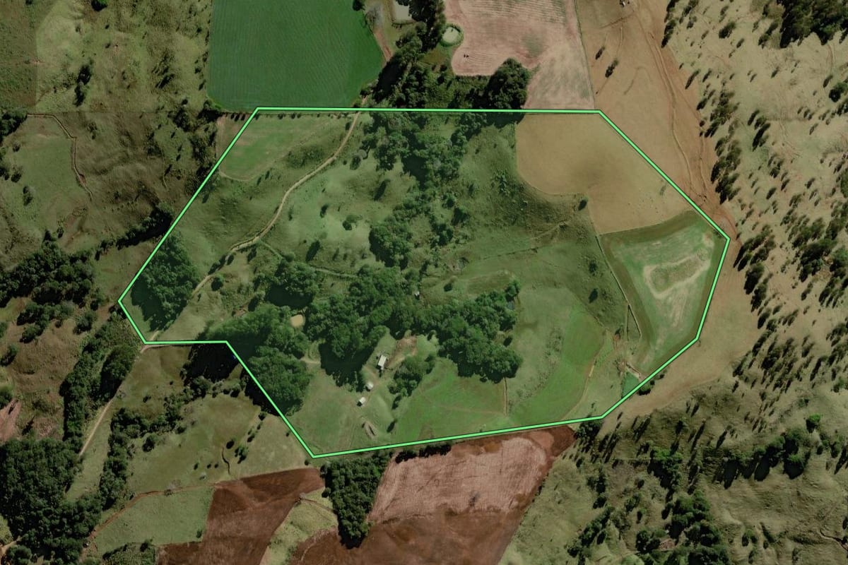 Imagem de satélite do imóvel rural em Palmital (PR), com o contorno declarado no CAR desenhado por cima.