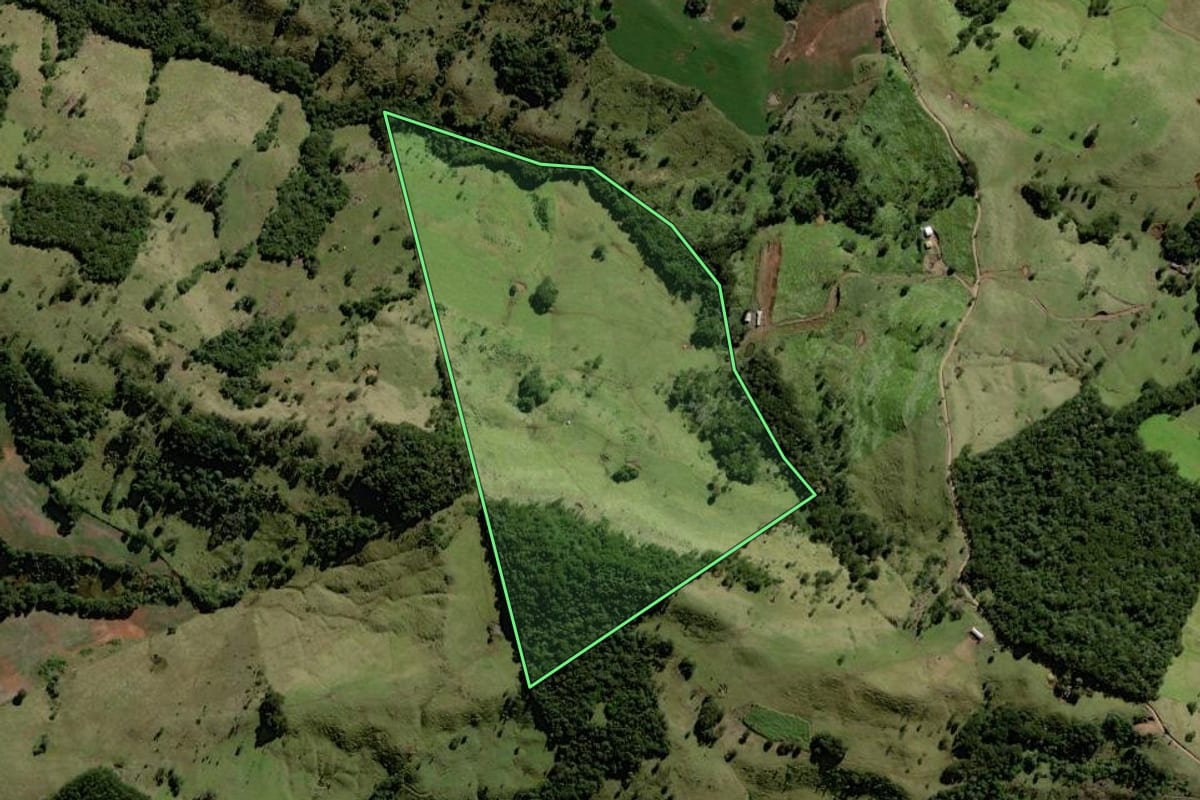 Imagem de satélite do imóvel rural em Palmital (PR), com o contorno declarado no CAR desenhado por cima.