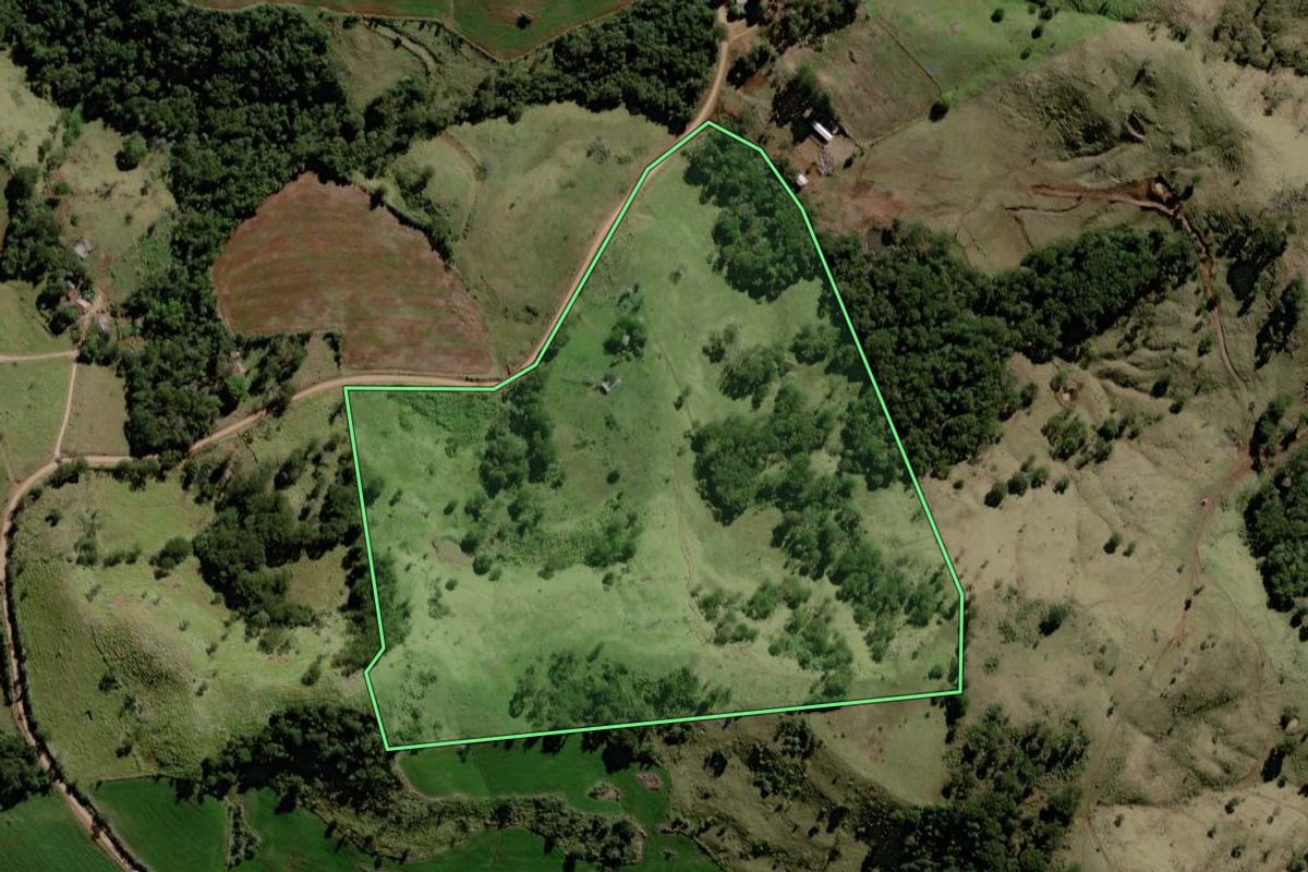 Imagem de satélite do imóvel rural em Palmital (PR), com o contorno declarado no CAR desenhado por cima.
