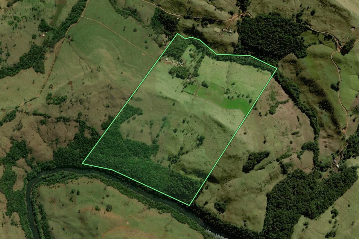 Imagem de satélite do imóvel rural em Palmital (PR), com o contorno declarado no CAR desenhado por cima.