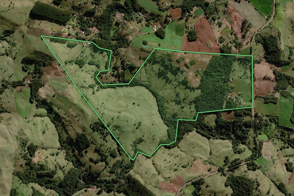 Imagem de satélite do imóvel rural em Palmital (PR), com o contorno declarado no CAR desenhado por cima.