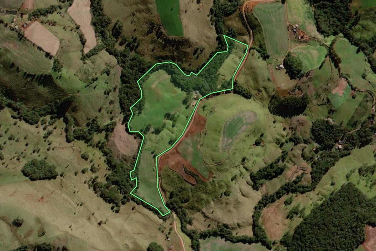 Imagem de satélite do imóvel rural em Palmital (PR), com o contorno declarado no CAR desenhado por cima.
