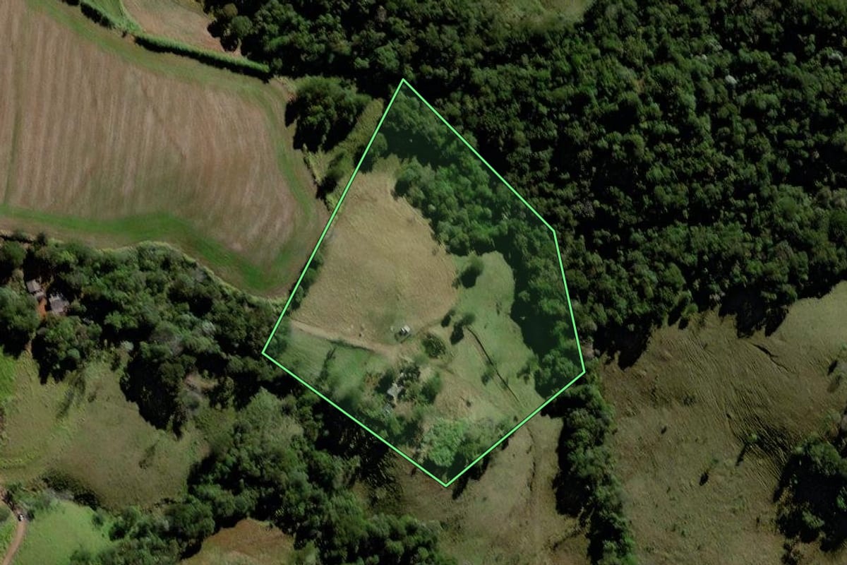 Imagem de satélite do imóvel rural em Palmital (PR), com o contorno declarado no CAR desenhado por cima.