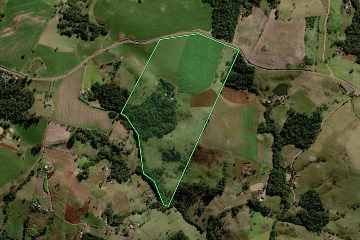 Imagem de satélite do imóvel rural em Palmital (PR), com o contorno declarado no CAR desenhado por cima.
