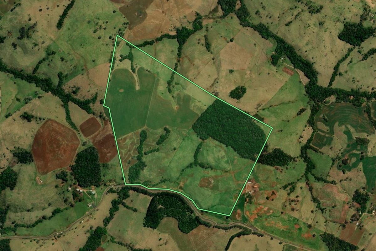 Imagem de satélite do imóvel rural em Palmital (PR), com o contorno declarado no CAR desenhado por cima.
