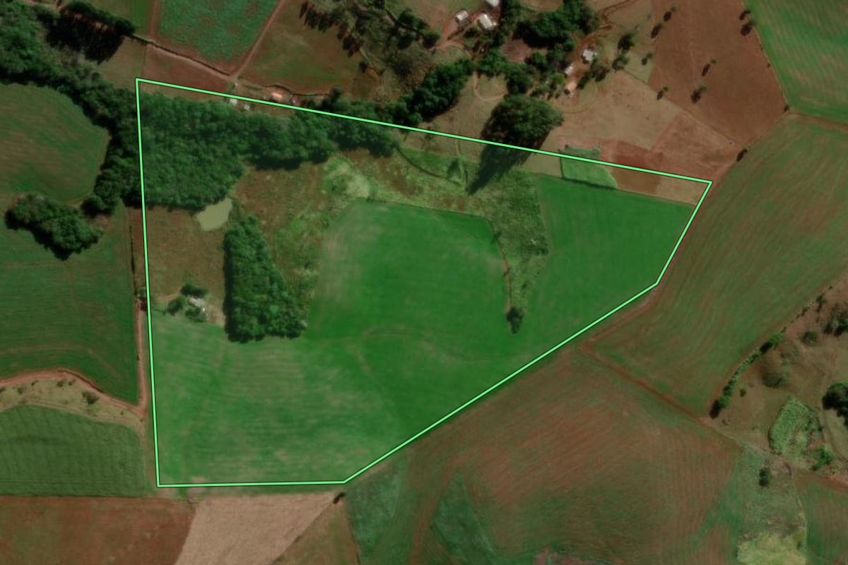 Imagem de satélite do imóvel rural em Palmital (PR), com o contorno declarado no CAR desenhado por cima.