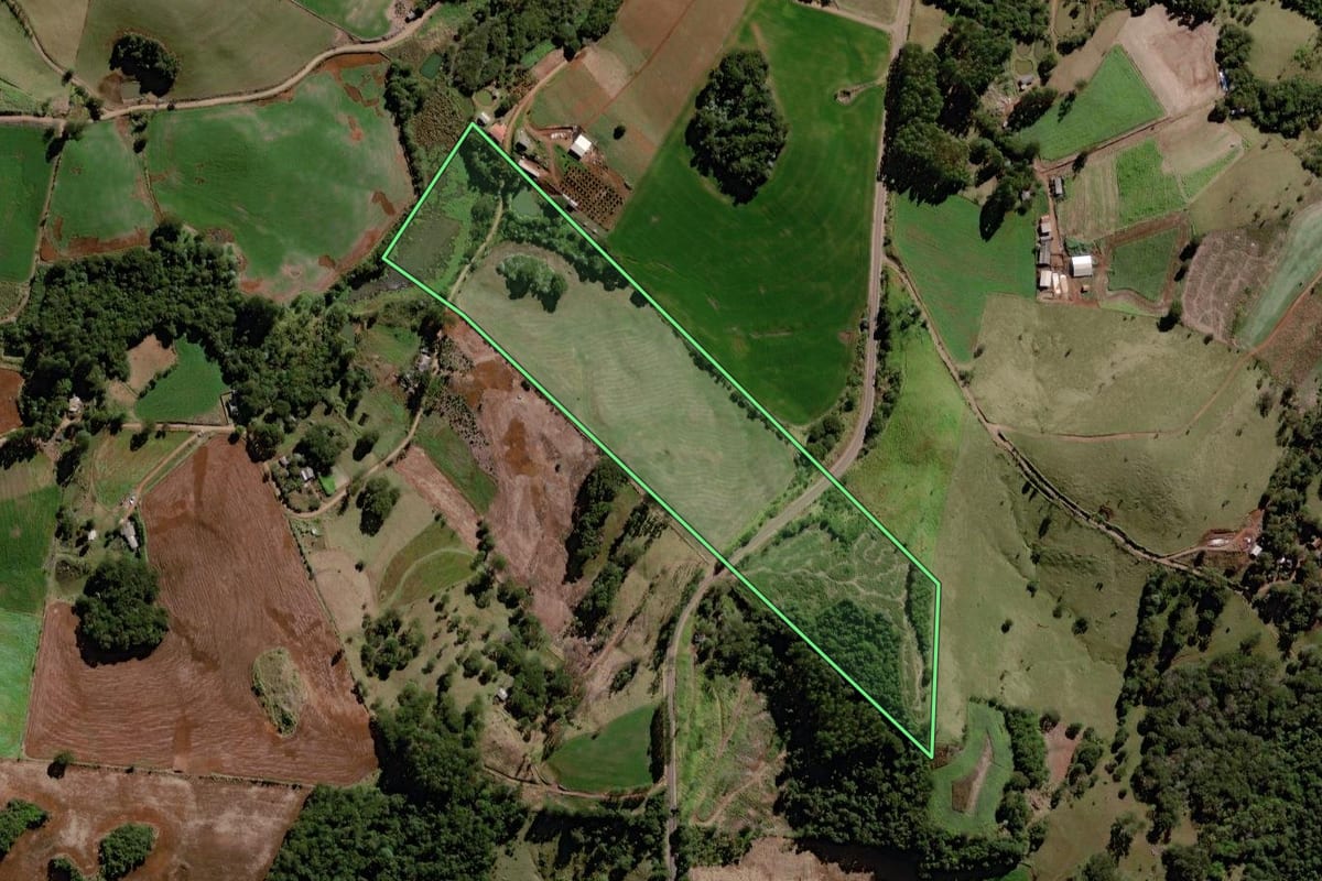 Imagem de satélite do imóvel rural em Palmital (PR), com o contorno declarado no CAR desenhado por cima.