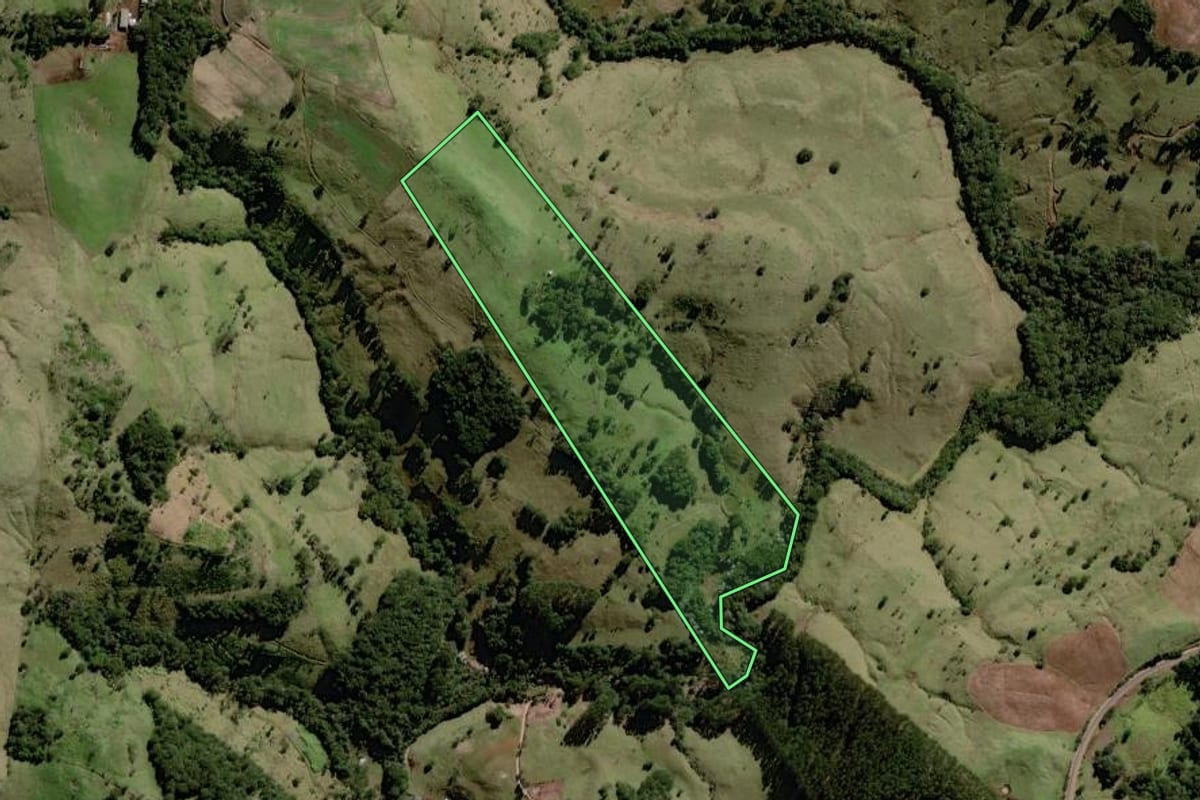 Imagem de satélite do imóvel rural em Palmital (PR), com o contorno declarado no CAR desenhado por cima.