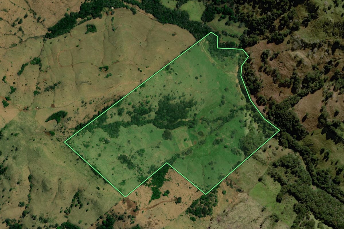 Imagem de satélite do imóvel rural em Palmital (PR), com o contorno declarado no CAR desenhado por cima.