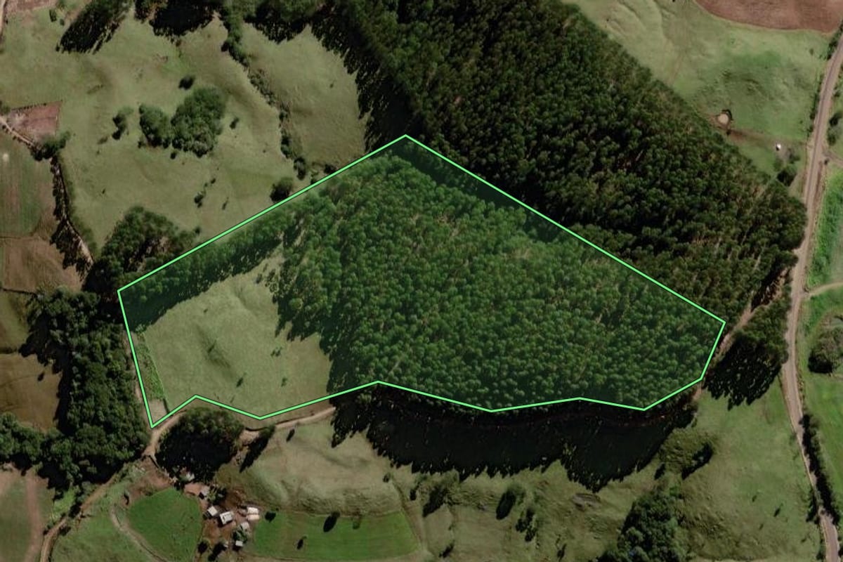 Imagem de satélite do imóvel rural em Palmital (PR), com o contorno declarado no CAR desenhado por cima.
