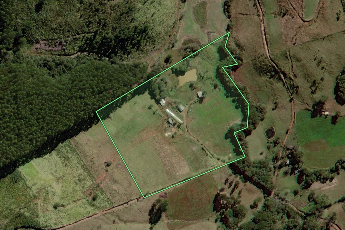 Imagem de satélite do imóvel rural em Palmital (PR), com o contorno declarado no CAR desenhado por cima.