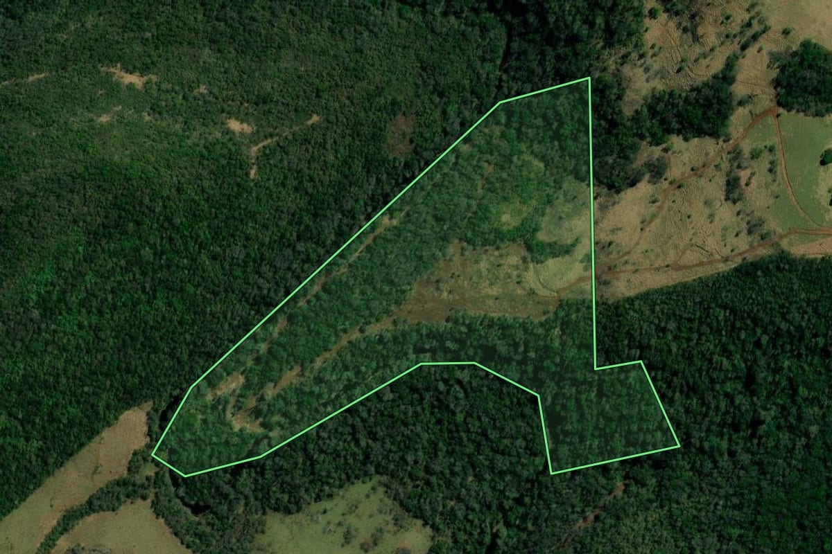 Imagem de satélite do imóvel rural em Palmital (PR), com o contorno declarado no CAR desenhado por cima.