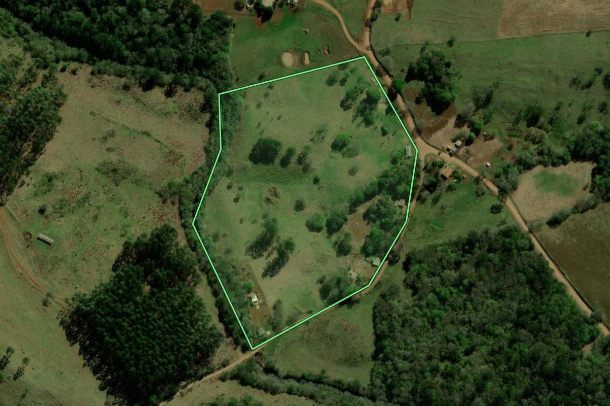 Imagem de satélite do imóvel rural em Palmital (PR), com o contorno declarado no CAR desenhado por cima.