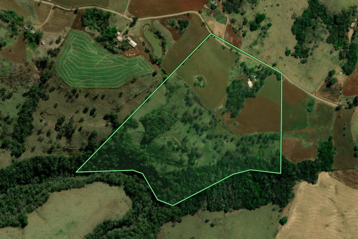 Imagem de satélite do imóvel rural em Palmital (PR), com o contorno declarado no CAR desenhado por cima.