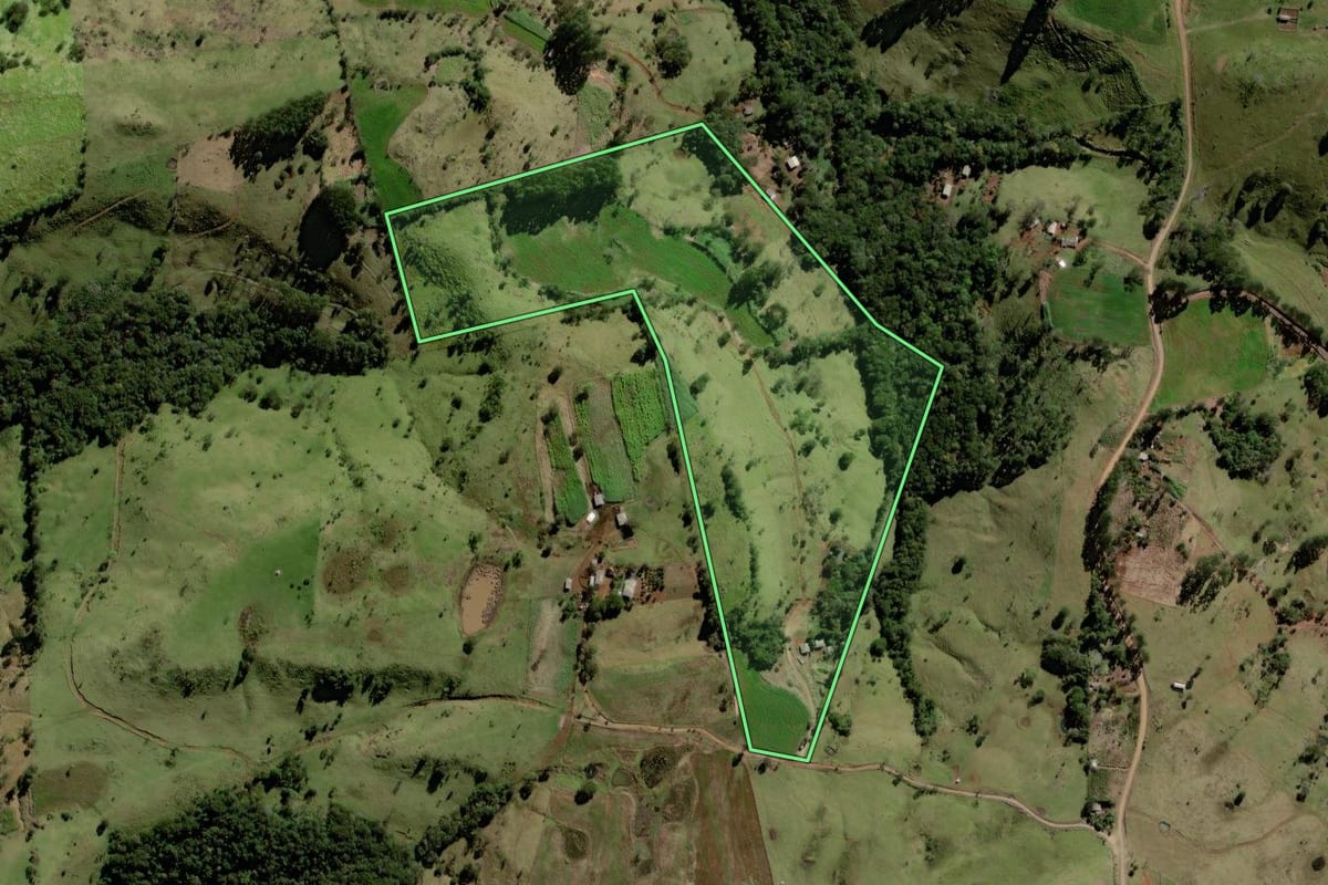 Imagem de satélite do imóvel rural em Palmital (PR), com o contorno declarado no CAR desenhado por cima.