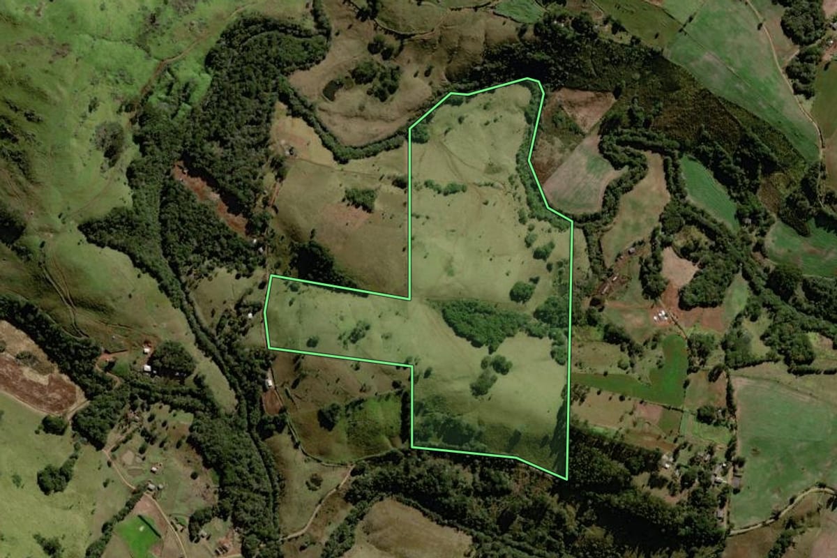 Imagem de satélite do imóvel rural em Palmital (PR), com o contorno declarado no CAR desenhado por cima.
