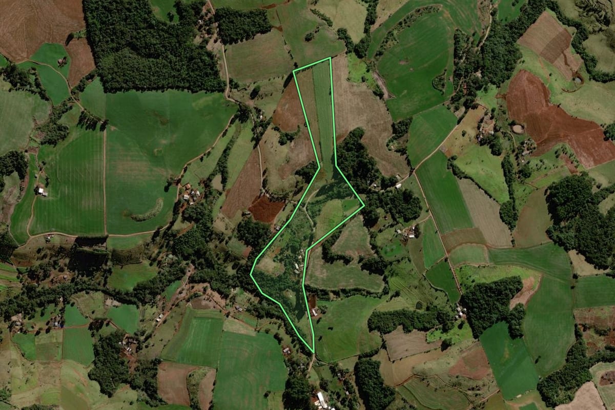 Imagem de satélite do imóvel rural em Palmital (PR), com o contorno declarado no CAR desenhado por cima.