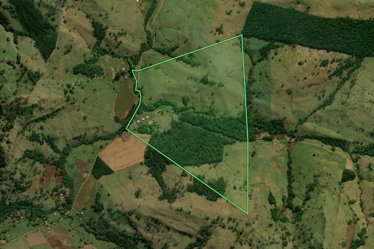 Imagem de satélite do imóvel rural em Palmital (PR), com o contorno declarado no CAR desenhado por cima.