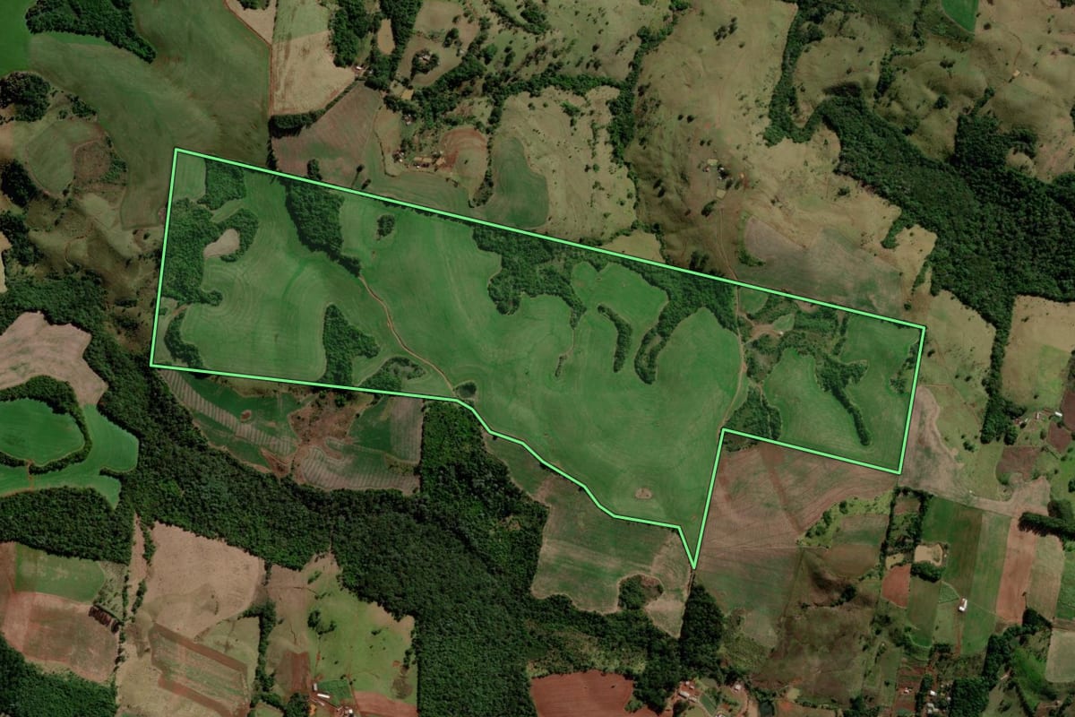 Imagem de satélite do imóvel rural em Palmital (PR), com o contorno declarado no CAR desenhado por cima.
