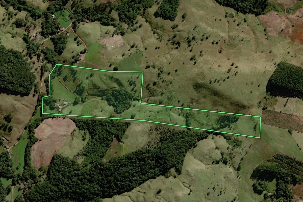 Imagem de satélite do imóvel rural em Palmital (PR), com o contorno declarado no CAR desenhado por cima.