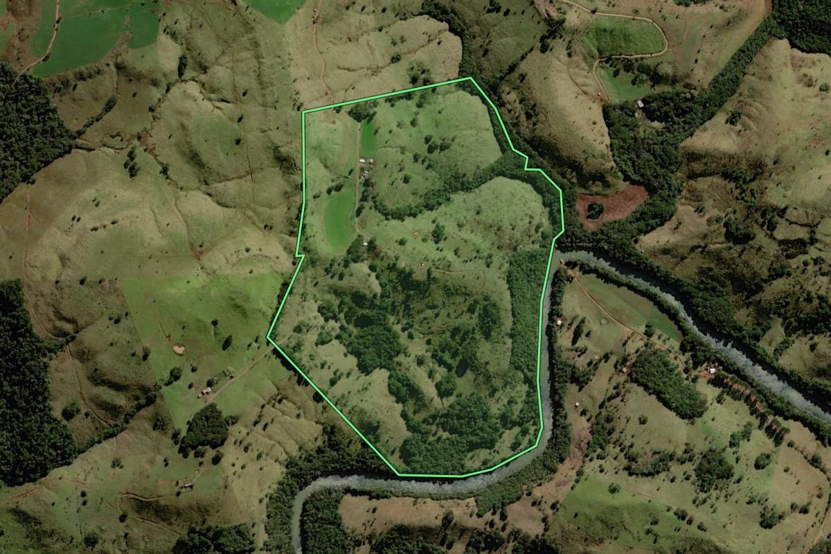 Imagem de satélite do imóvel rural em Palmital (PR), com o contorno declarado no CAR desenhado por cima.