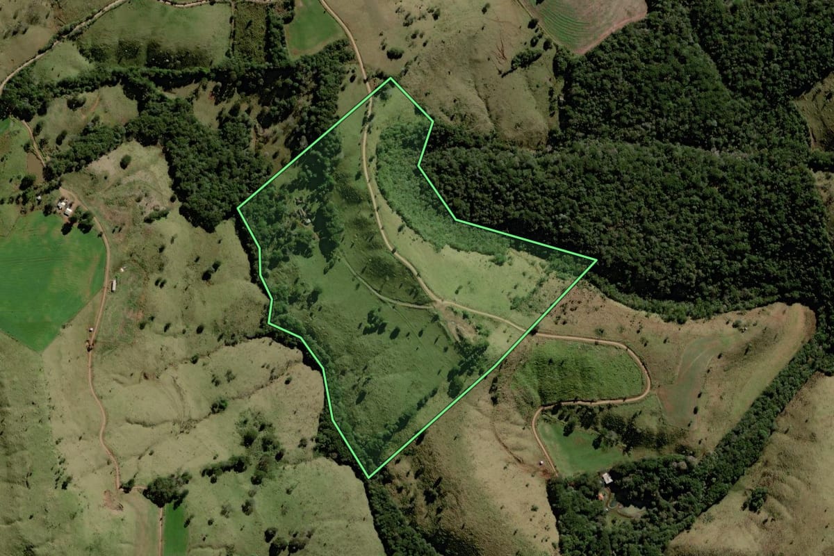 Imagem de satélite do imóvel rural em Palmital (PR), com o contorno declarado no CAR desenhado por cima.