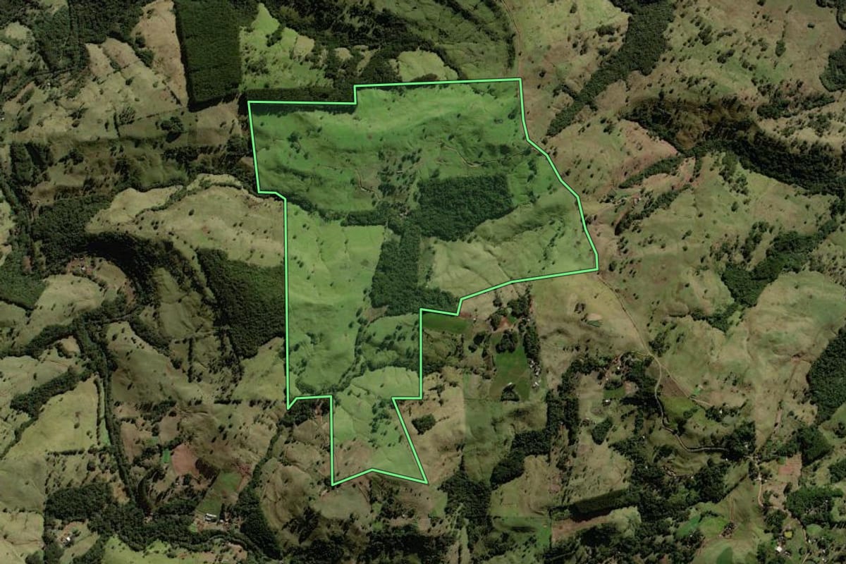 Imagem de satélite do imóvel rural em Palmital (PR), com o contorno declarado no CAR desenhado por cima.