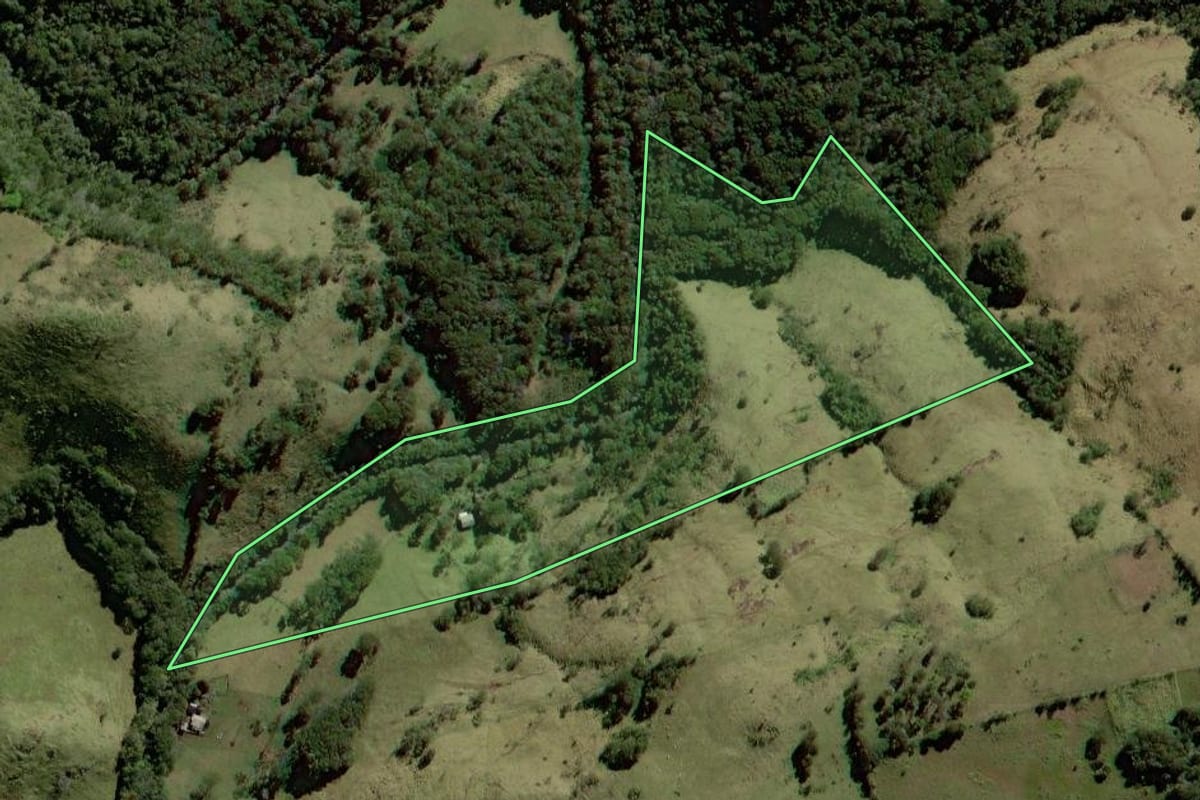 Imagem de satélite do imóvel rural em Palmital (PR), com o contorno declarado no CAR desenhado por cima.