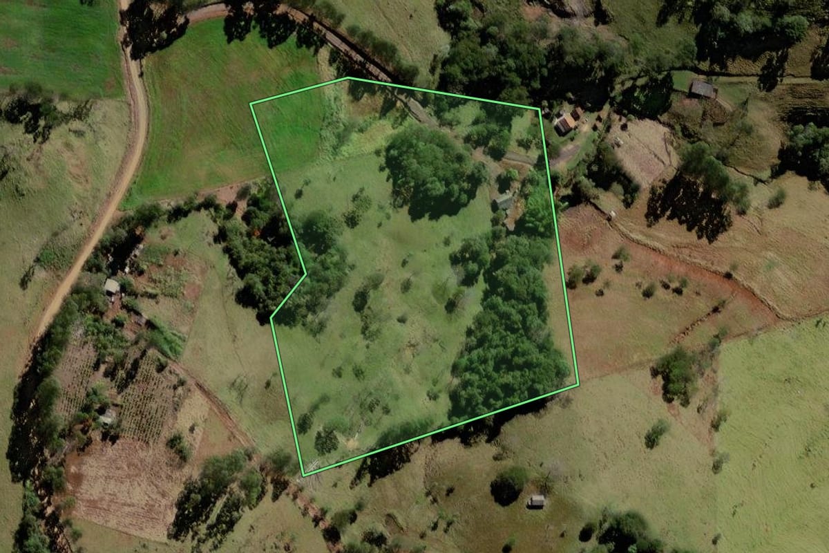 Imagem de satélite do imóvel rural em Palmital (PR), com o contorno declarado no CAR desenhado por cima.