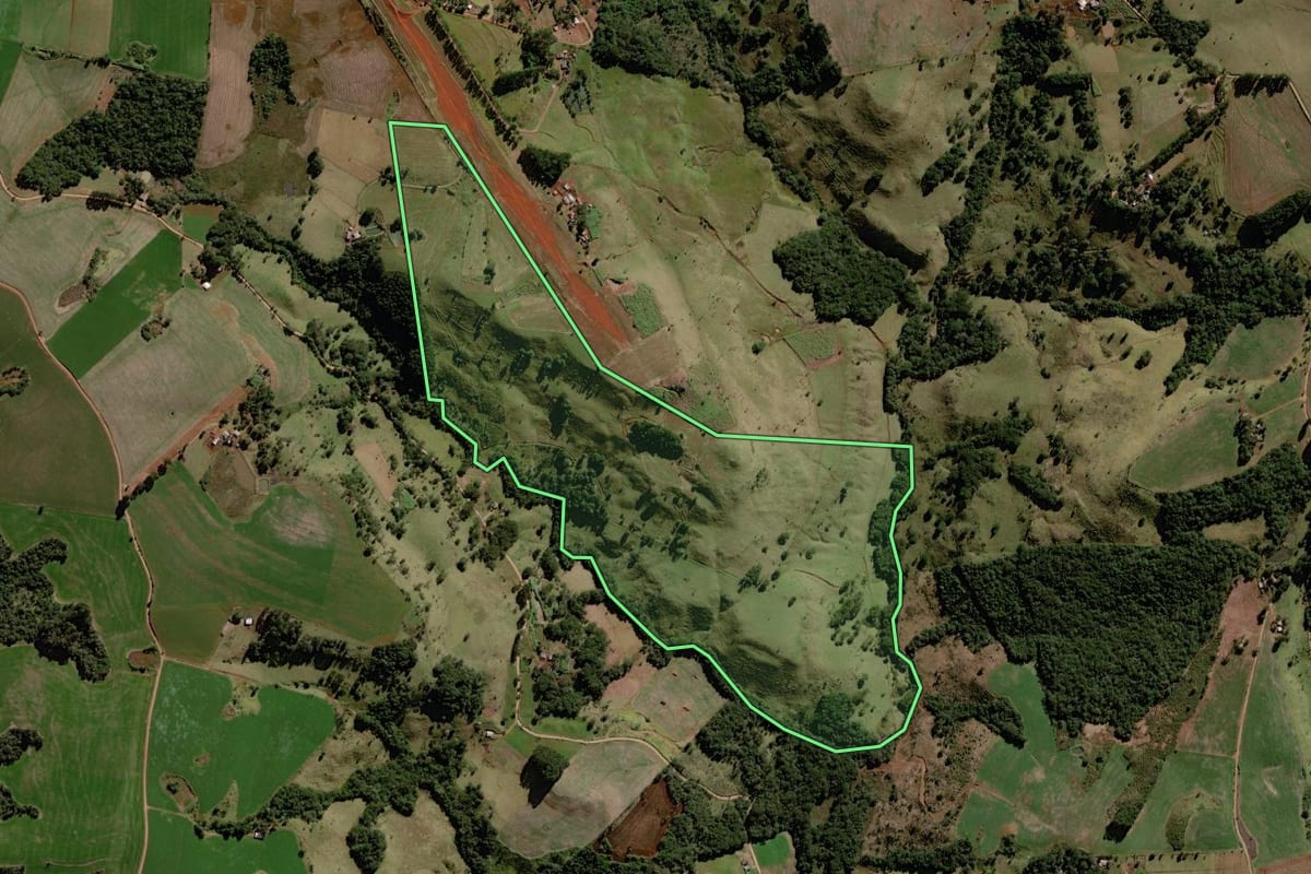 Imagem de satélite do imóvel rural em Palmital (PR), com o contorno declarado no CAR desenhado por cima.