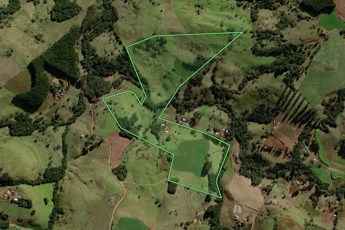 Imagem de satélite do imóvel rural em Palmital (PR), com o contorno declarado no CAR desenhado por cima.